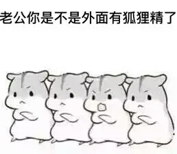  华体会体育app官方下载